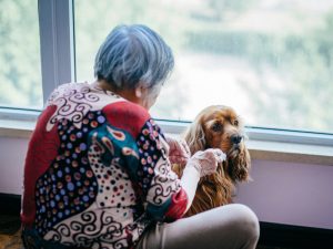 El envejecimiento de los propietarios y su impacto en el cuidado de los amigos peludos