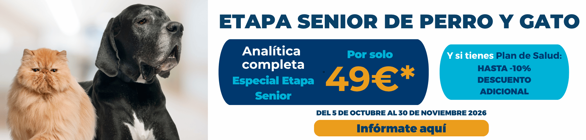 Campaña prevención y cuidados animales senior