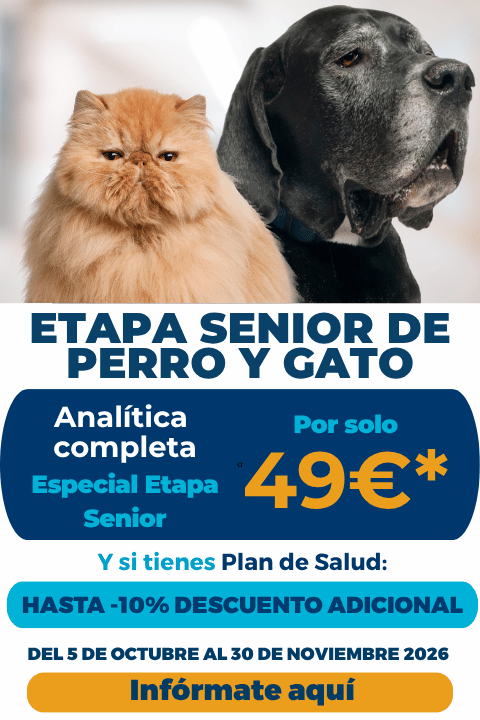 Campaña prevención y cuidados animales senior