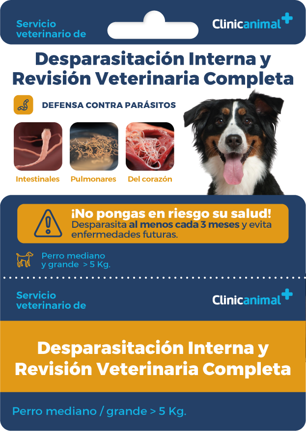 Tarjeta desparasitación interna y revisión