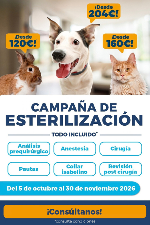 Campaña esterilización