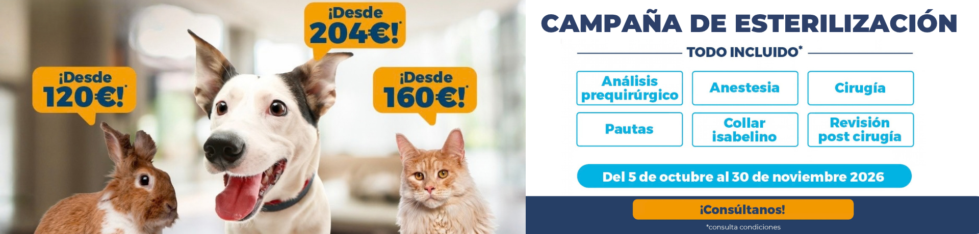 Campaña esterilización
