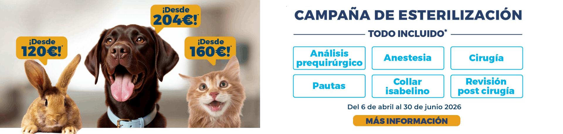 Campaña esterilización