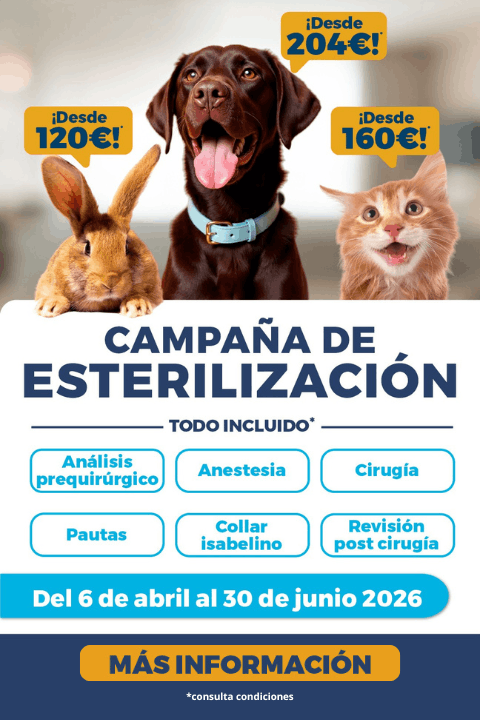 Campaña esterilización