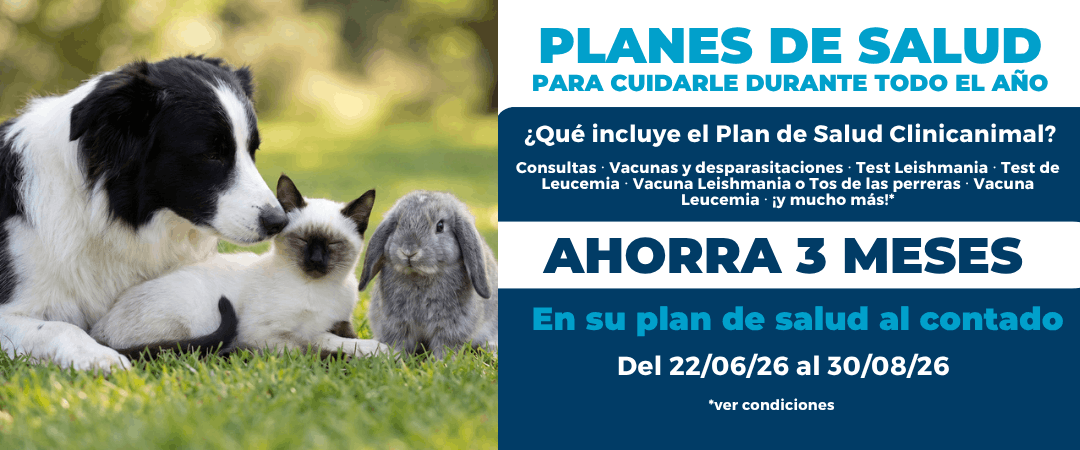 banner campaña planes de salud