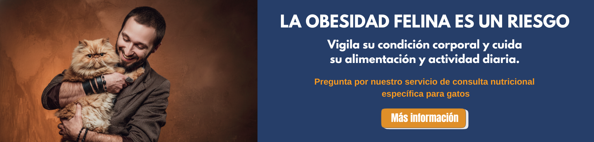 Campaña obesidad