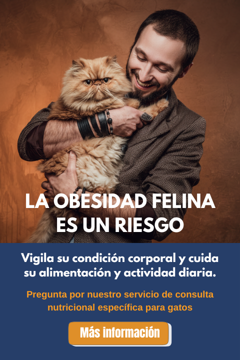 Campaña obesidad