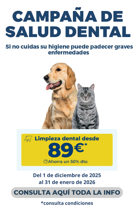 Campaña salud dental