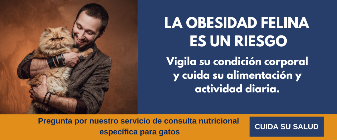 banner-para-la-campana-prevenir-obesidad-gatos-landing