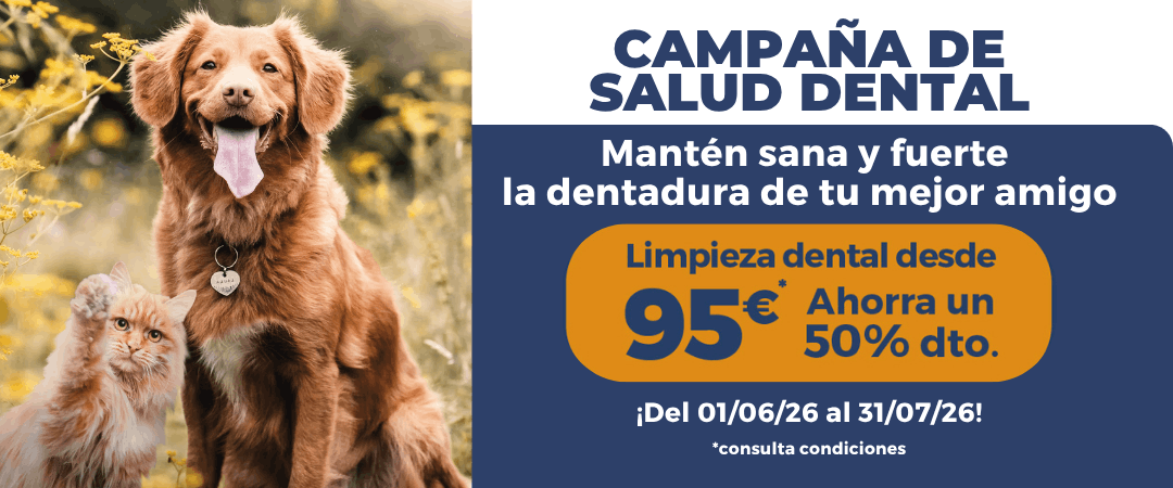 Campaña de salud dental en animales
