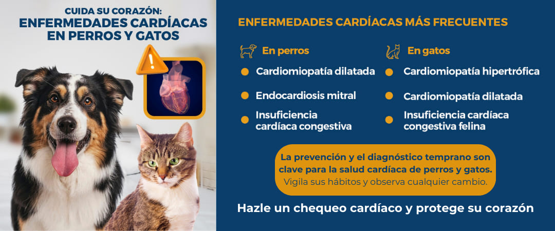 Campaña enfermedades cardíacas