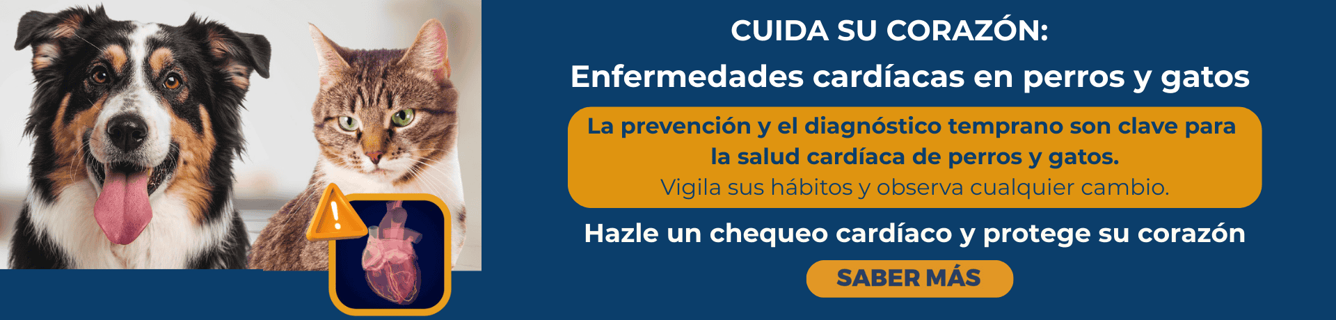 Campaña prevención enfermedades cardíacas