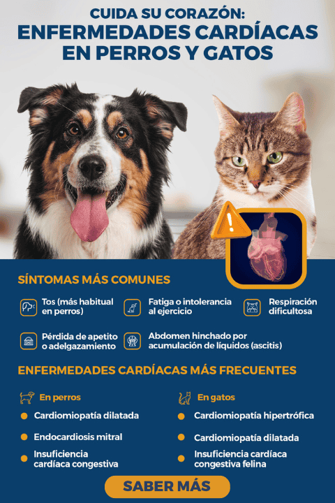 Campaña prevención enfermedades cardíacas