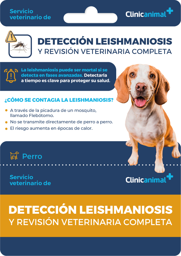 Tarjeta leishmania perro