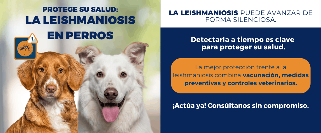 Banner cabecera campaña leishmaniosis