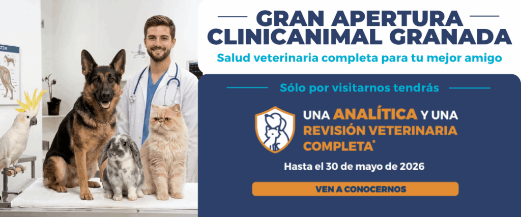 gran apertura clinicanimal granada