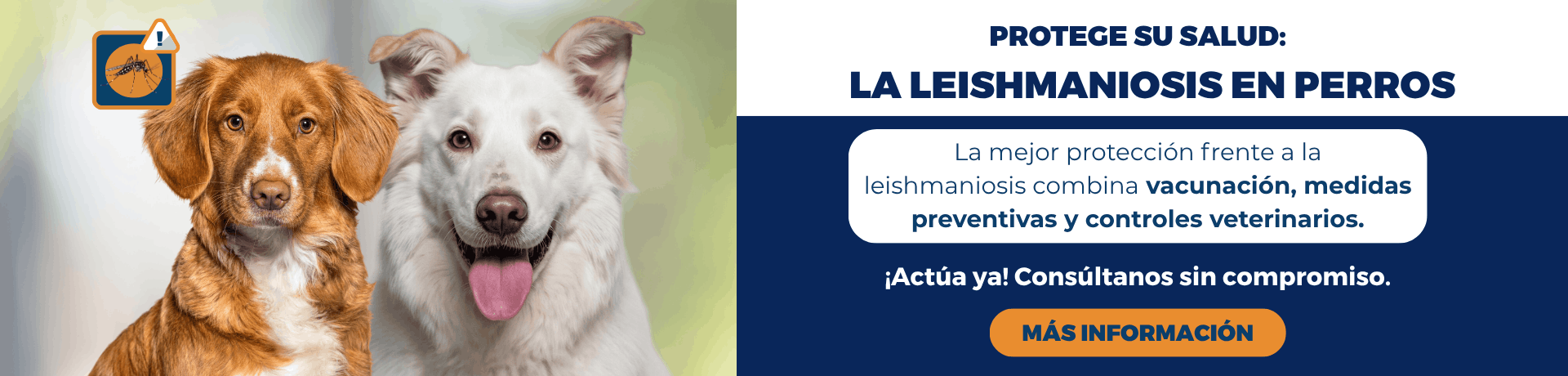 Campaña de leishmaniosis