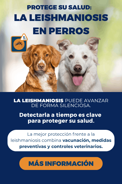 Campaña de leishmaniosis