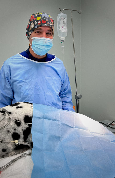 tumor en las glándulas de Meibomio en Hugo: fotos tratamiento