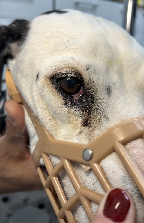 Evolución y Resultados caso clínico Hugo