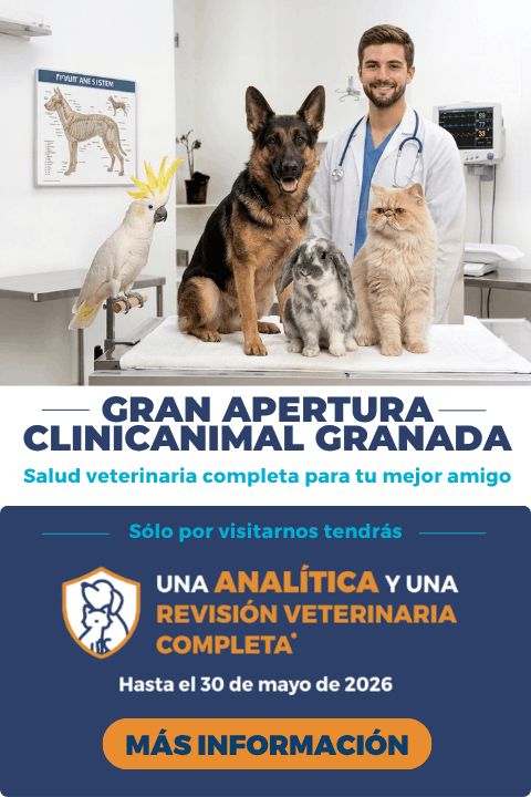 Apertura Clinicanimal Alameda