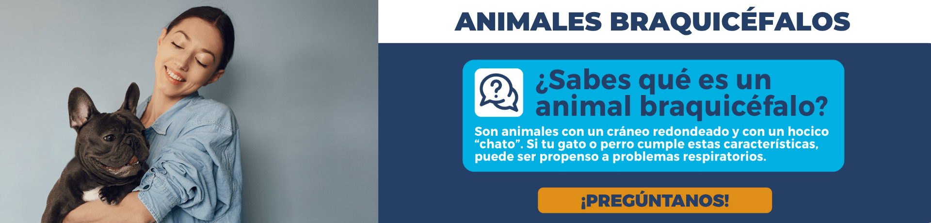Campaña prevención animales braquicéfalos