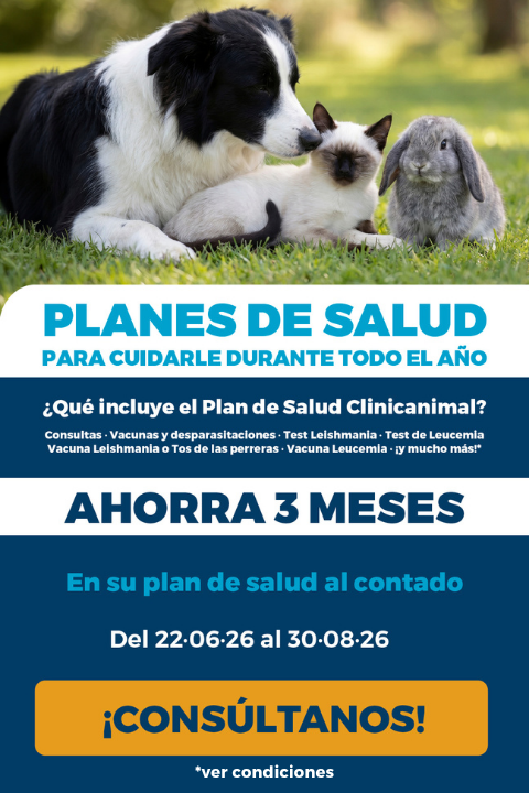 Campaña planes de salud