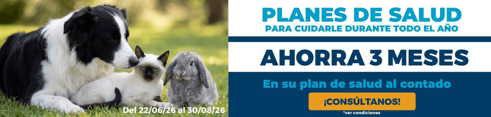 Campaña planes de salud