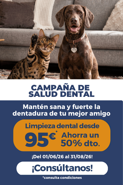 Campaña higiene y salud bucodental