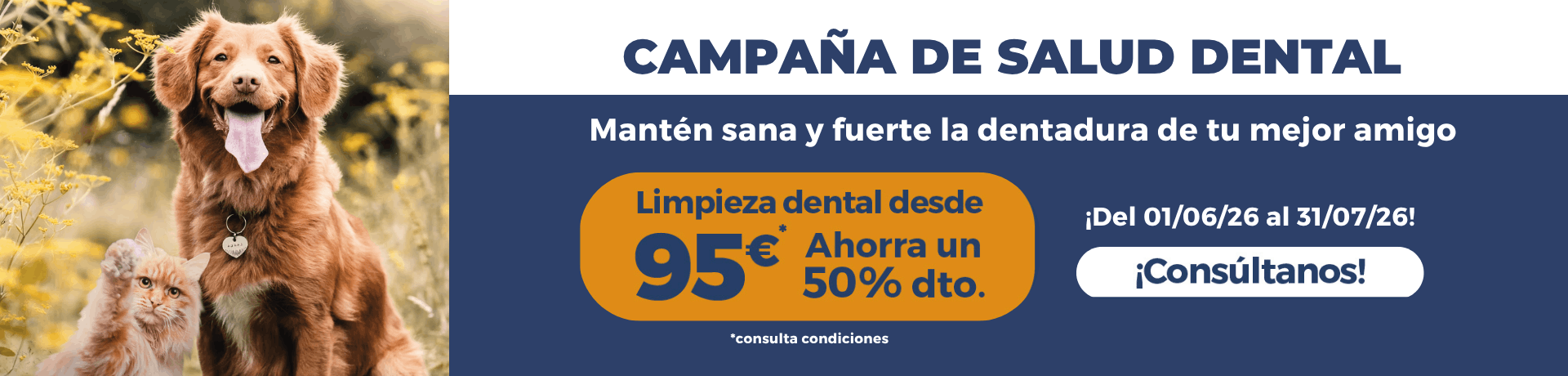 Campaña higiene y salud bucodental