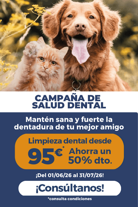 Campaña higiene y salud bucodental