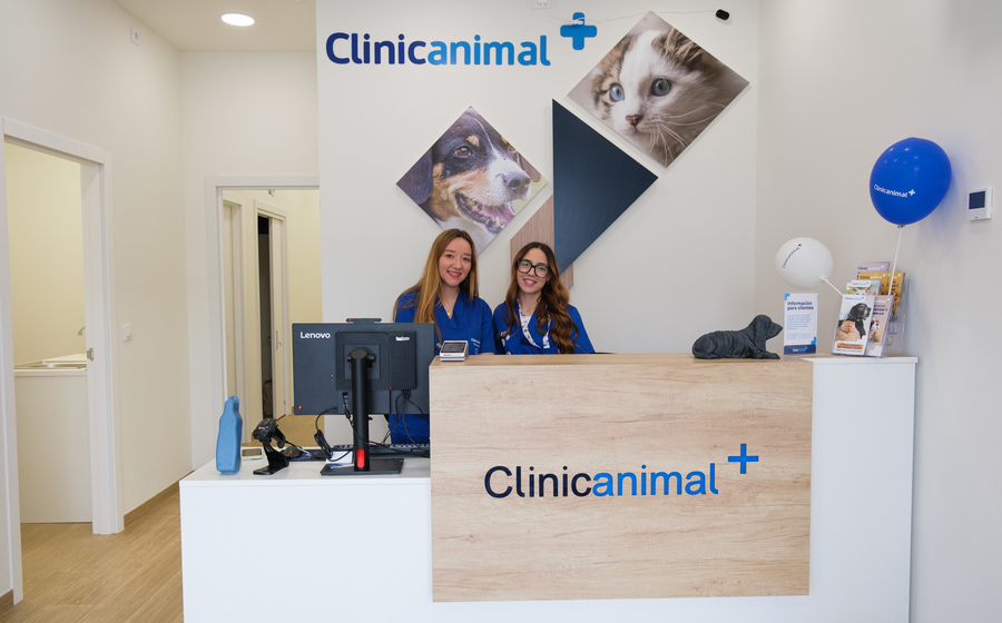 Trabaja en Clinicanimal, descubre las ofertas de trabajo