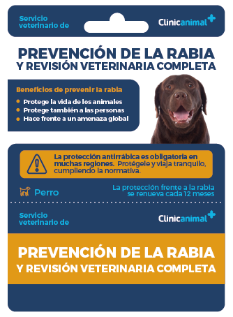 campaña prevención rabia