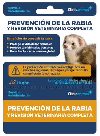 campaña prevención rabia clinicanimal